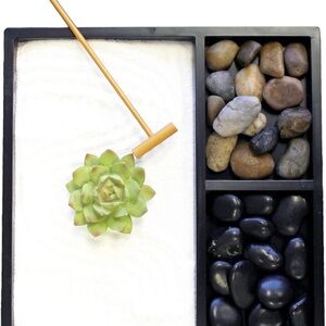 Zen Garden with Green Succulent and Stones. New in box!!!!